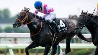 【AI予想・中山金杯】12月から開催が続く中山の馬場がポイント!? 伏兵の一発にも警戒を強める人工知能の本命候補とは