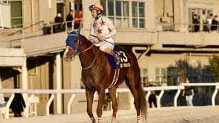 【東京大賞典】ルメール「勝った馬が強すぎました」レース後ジョッキーコメント