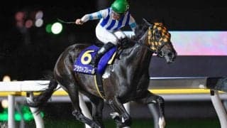 【大井・東京シンデレラマイル注目馬】南関東の最強牝馬決定戦にフルゲート16頭