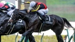 【中山金杯予想オッズ】アンゴラブラックが予想1番人気