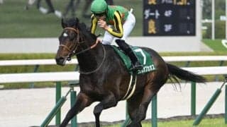 【京都金杯予想オッズ】ランスオブカオスが予想1番人気