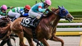 2025年でもっとも荒れたレースは？ 3連単1000万超えも…式別ごとの最高配当を振り返る