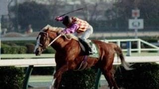 「金髪の貴公子」が初タイトルを獲得 尾花栗毛のトウショウファルコが制した92年金杯(東)を振り返る