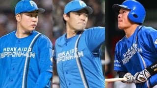 FA加入も掴めなかった“居場所”　苦悩の34歳…日本ハム、1年後の補強評価