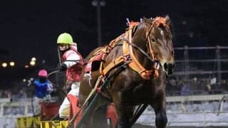 【ばんえい十勝】1日発売額が初の9億円超え…ばんえい競馬史上最高額を更新