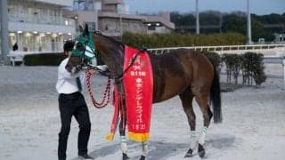 【東京シンデレラマイル】1レース売得金10億円超でレコード更新