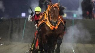 【ばんえいダービー】キョウエイエースが制覇、世代王者に輝く