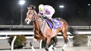 【高知県知事賞】オディロンが後続を寄せ付けず5馬身差V