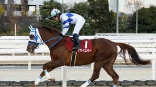 【園田ジュニアカップ】展開無視の末脚！ゴッドフェンサーが力でねじ伏せる