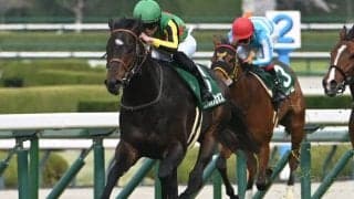 【京都金杯見どころ】安定感抜群のランスオブカオス