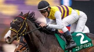 【中山金杯見どころ】冬の中山に実績があるニシノエージェント