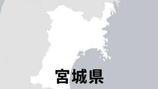 宮城・聖和学園が3回戦進出、徳島市立に3-1で勝利　高校サッカー