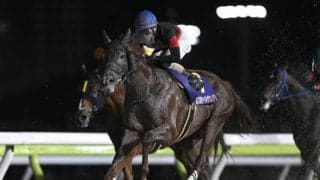 【川崎マイラーズ枠順】マイルグランプリの覇者ゴールドレガシーは8枠10番