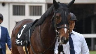 【京都金杯】高杉吏麒騎手が重賞初制覇なるか 伏兵ラケマーダで一発狙う