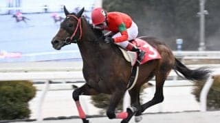 【高知・初夢特別】オタマジャクシが4連勝…永森「今日はトノサマガエルでした」