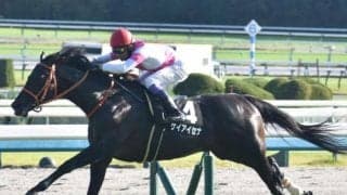  【中山金杯予想】枠順と臨戦過程がカギを握る AIが現時点で導き出した本命候補は