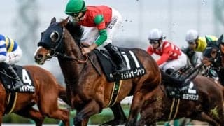 【中山金杯展望】好走データに合致するマイネルオーシャンが新年の計を飾る