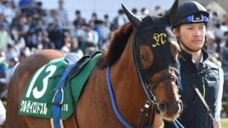 【京都金杯】武豊騎手が史上単独トップの5勝目なるか クルゼイロドスルと初コンビで挑む