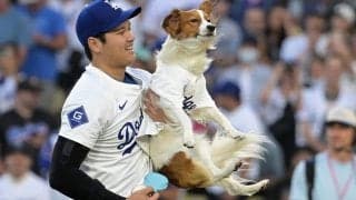 「センス最高」大谷が散りばめた“相棒”に反響　2年連続の起用で発見「増えてる」