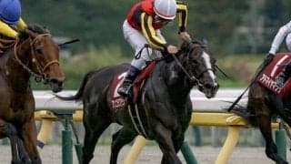 【中山金杯・調教後馬体重】アンゴラブラックは486kg、カネラフィーナは480kg