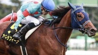 【中山金杯】牝馬が25年ぶりの戴冠なるか アンゴラブラックとカネラフィーナの2頭が参戦だ