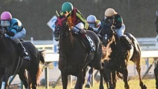【京都金杯展望】リゲルS組と昇級初戦の勢いある馬に注目