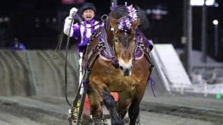 【ばんえい・帯広記念】メムロボブサップ悲願の初制覇…古馬重賞完全制覇を達成