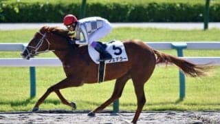 武豊騎手 今週の騎乗馬…日月で16鞍