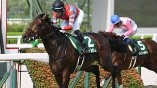 【京都金杯枠順確定】キープカルムは2枠3番、ランスオブカオスは1枠1番