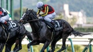 【中山金杯予想】今年の中山金杯は大波乱の可能性あり!? 牝馬が苦戦するのは開催日程が要因