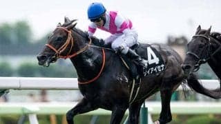 ディープインパクト産駒が17年連続重賞制覇へ 東西金杯に4頭が参戦