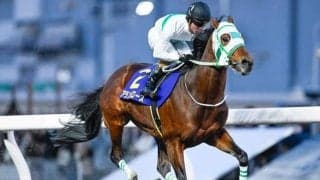 【川崎・川崎マイラーズ結果】アランバローズが9馬身差逃げ切りV！重賞5勝目を挙げる