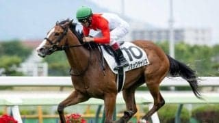 【フェアリーS想定馬・騎手】ブラックチャリス、ギリーズボールなど18頭