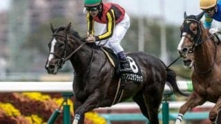 【AI予想・中山金杯】東の金杯は人気によって狙い方が変わる!? 前回以上の仕上げで初タイトルを狙う人工知能の本命馬