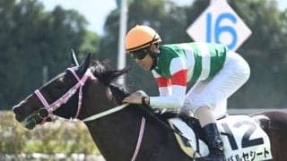 【シンザン記念想定馬・騎手】バルセシート、モノポリオなど17頭