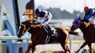 “午年の金杯”過去の傾向探ってみた 東は「3番」、西は「1番人気」に注目？