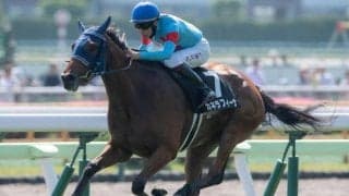 【今日の注目ポイント】中山金杯と京都金杯で今年の中央競馬がスタート