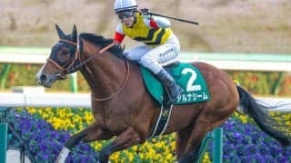 データが示す“軸馬”とは 中山金杯を過去10年から分析