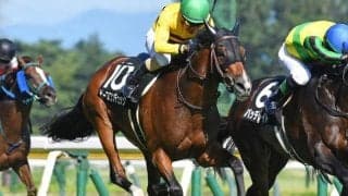 【中山金杯予想】大阪杯などにつながる登竜門
