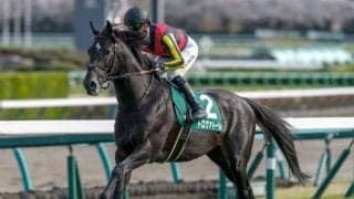 【京都金杯予想】マイル路線を占う西の幕開け重賞