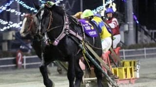 【ばんえい・天馬賞】5歳馬リュウセイウンカイ嬉しい初タイトル