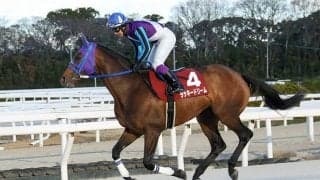 【園田・新春賞】ラッキードリーム復活V…8歳馬が意地の押し切り
