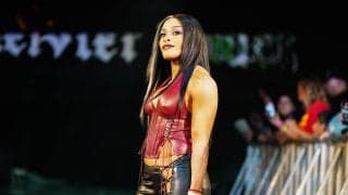 どうなってるの？ 関節が「グニャリ」と一回転で限界突破…人気女子レスラーの“痛そうなのに目が離せない”一発芸が話題