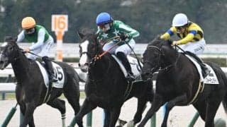【京都5R新馬戦結果】単勝170.6倍、13番人気のタイキルッジェーロがV リオンディーズ産駒
