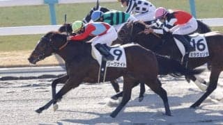 【京都1R】西の2026年オープニングレースはリーグナイトと田山旺佑がV