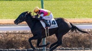 【中山1R】東の初笑いは横山武史騎乗 フュルスティン