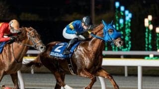 【浦和・ニューイヤーC枠順】平和賞を制したスマトラフレイバーは4枠4番