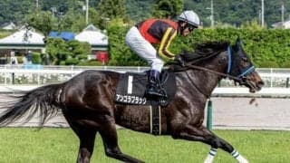 【中山金杯・馬体重】アンゴラブラックは480kg(+10)、カネラフィーナは478kg(±0)
