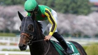 【京都金杯・馬体重】ランスオブカオスは502kg(±0)、キープカルムは506kg(+18)