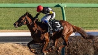 【招福S】最後方から大まくり！岩田康誠騎乗 アスクデビューモアが快勝